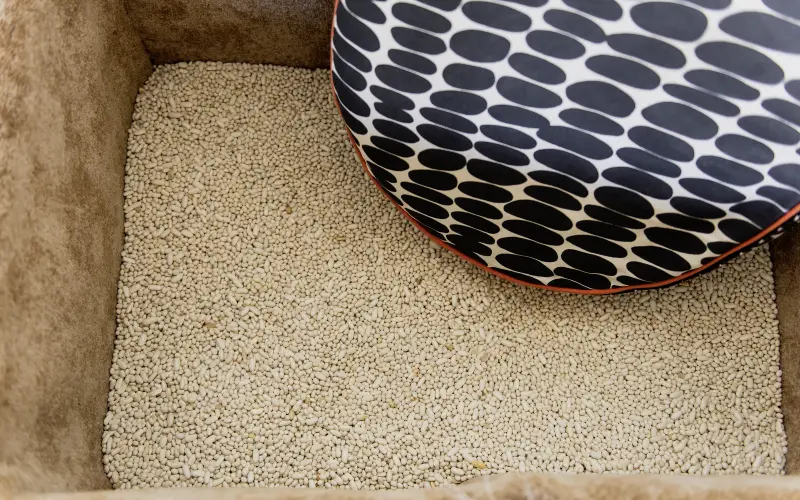 Ergotherapiepraxis Malchin Bohnenbad