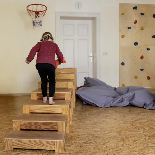 Sensomotorisch-perzeptive Therapie